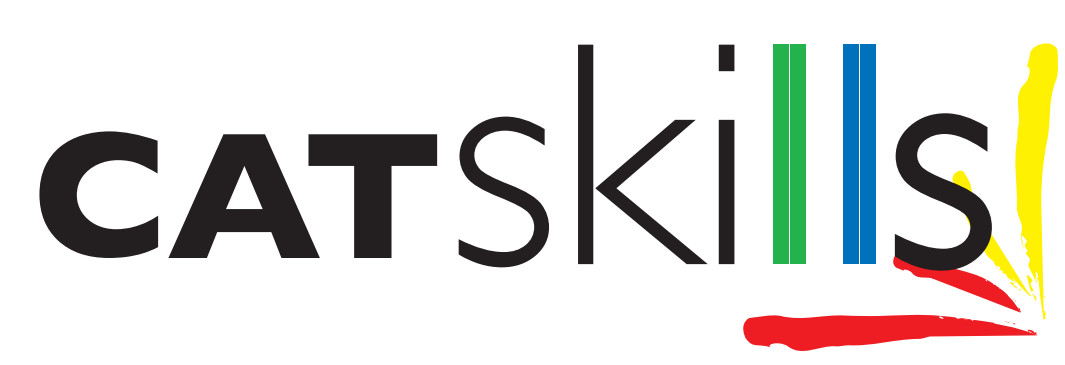 logo catskills