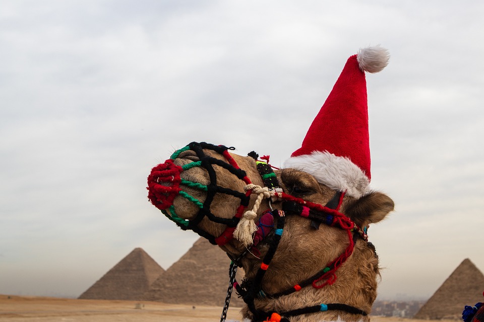 Camello con gorro de Papá Noel