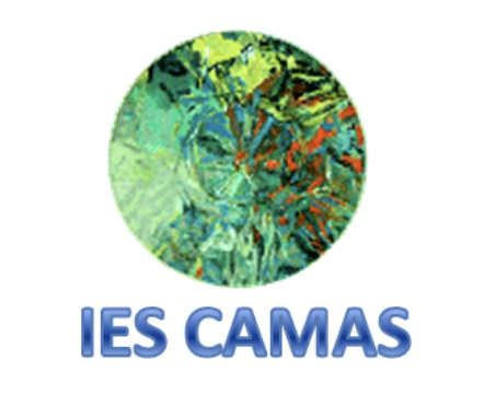 Logo IES Camas Antonio Brisquet (Sevilla)